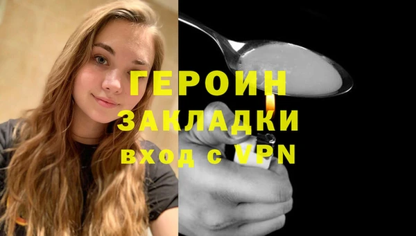 индика Вяземский